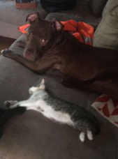 Lucy and Cat
