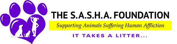 The SASHA Foundation